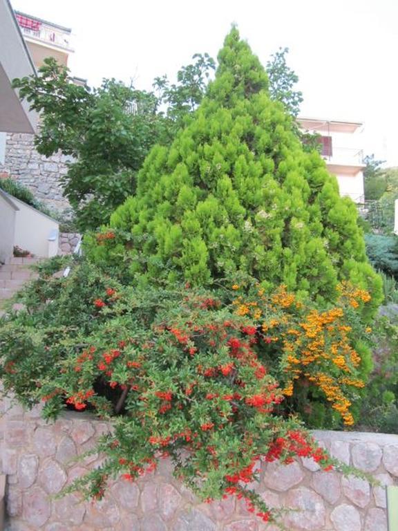 Apartments Bobinac Senj  Quarto foto